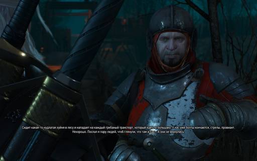 The Witcher 3: Wild Hunt - Ведьмак 3: CD Projekt Red затратили на игру 67 миллионов $. Заработали 200 миллионов $